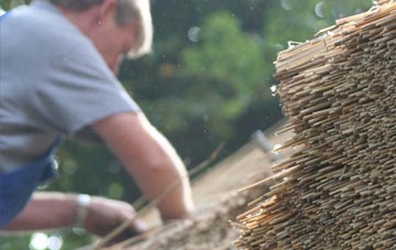 professional Abbey Hulton thatchers